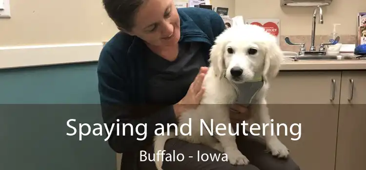 Spaying and Neutering Buffalo - Iowa