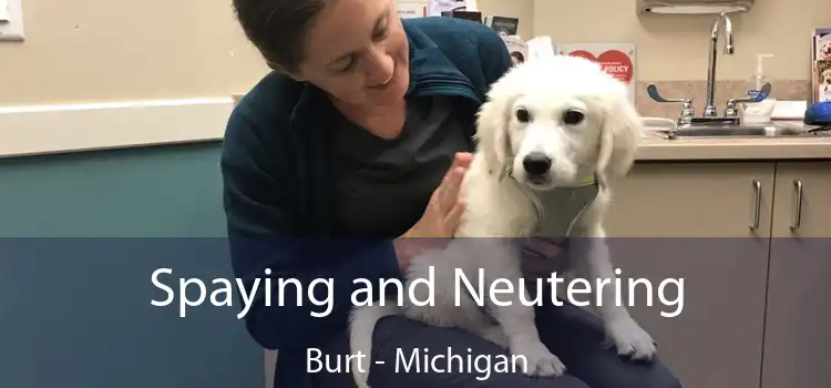 Spaying and Neutering Burt - Michigan