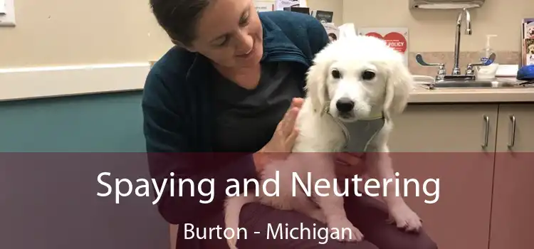 Spaying and Neutering Burton - Michigan