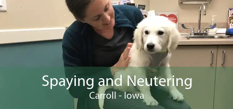 Spaying and Neutering Carroll - Iowa