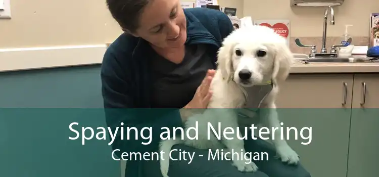 Spaying and Neutering Cement City - Michigan