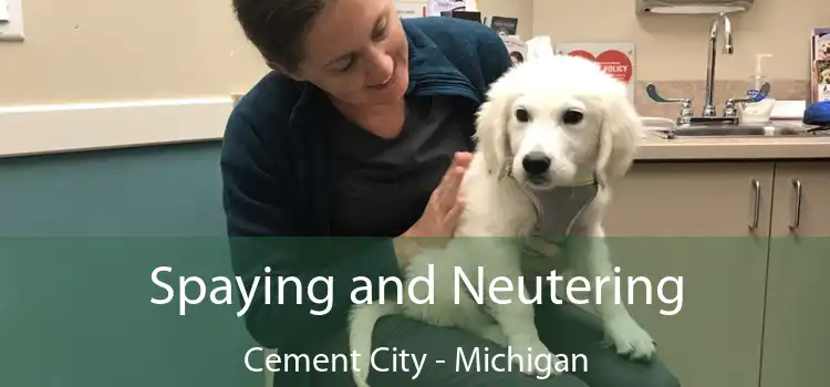 Spaying and Neutering Cement City - Michigan