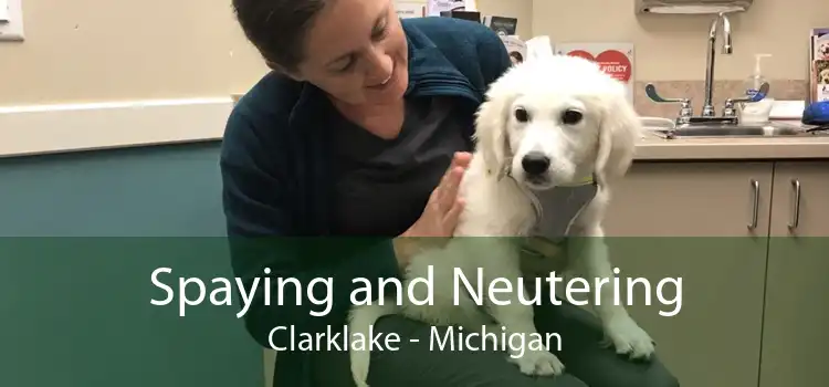 Spaying and Neutering Clarklake - Michigan