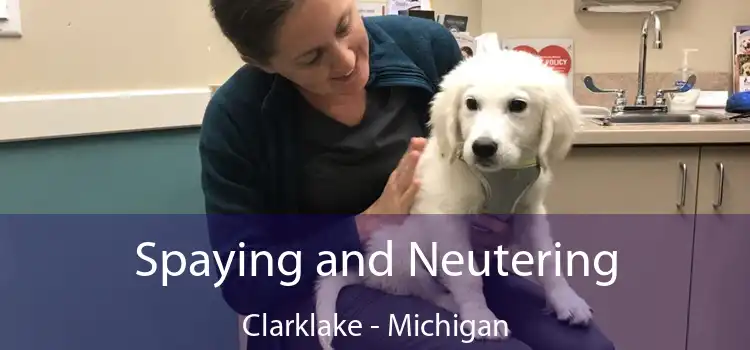 Spaying and Neutering Clarklake - Michigan