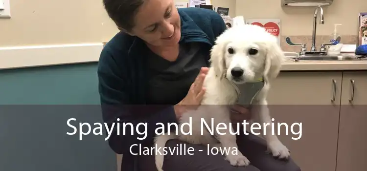 Spaying and Neutering Clarksville - Iowa