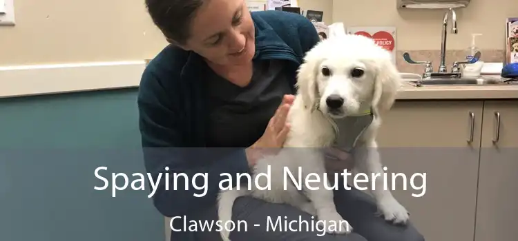 Spaying and Neutering Clawson - Michigan