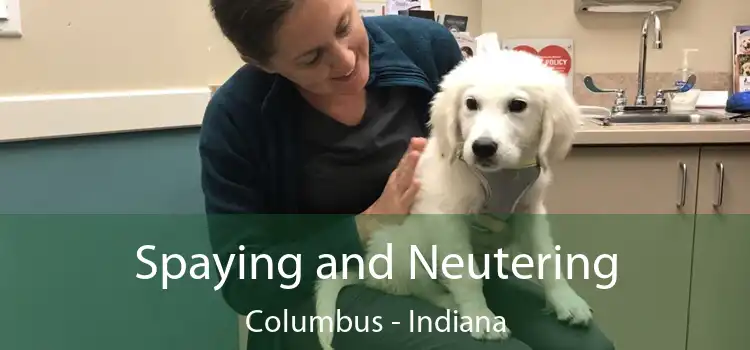 Spaying and Neutering Columbus - Indiana