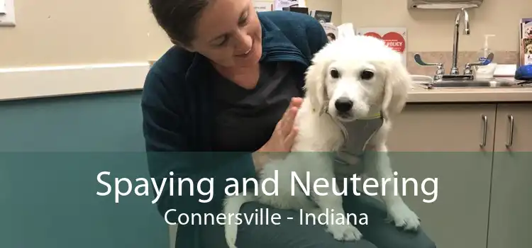 Spaying and Neutering Connersville - Indiana