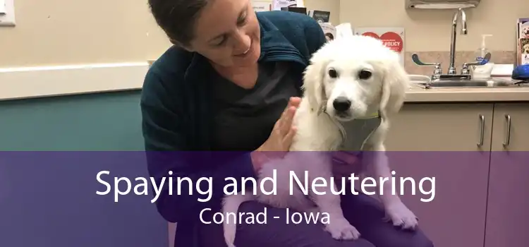 Spaying and Neutering Conrad - Iowa