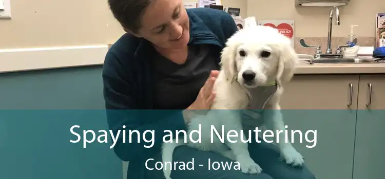 Spaying and Neutering Conrad - Iowa