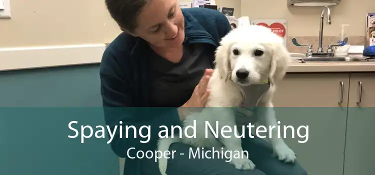 Spaying and Neutering Cooper - Michigan