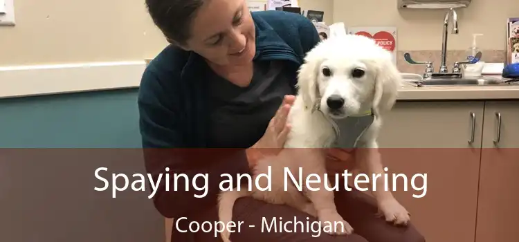 Spaying and Neutering Cooper - Michigan