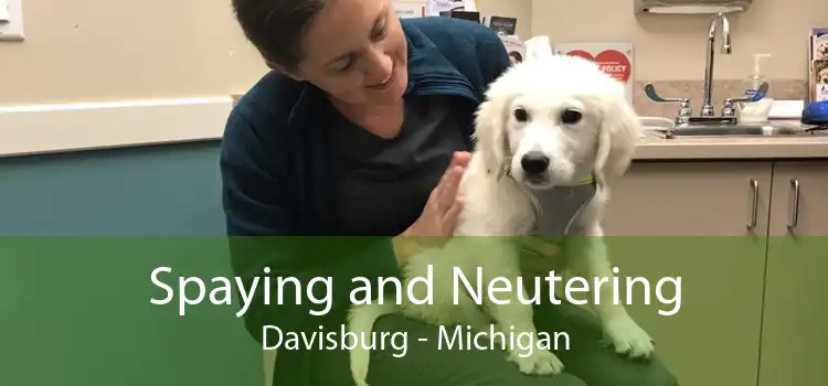 Spaying and Neutering Davisburg - Michigan