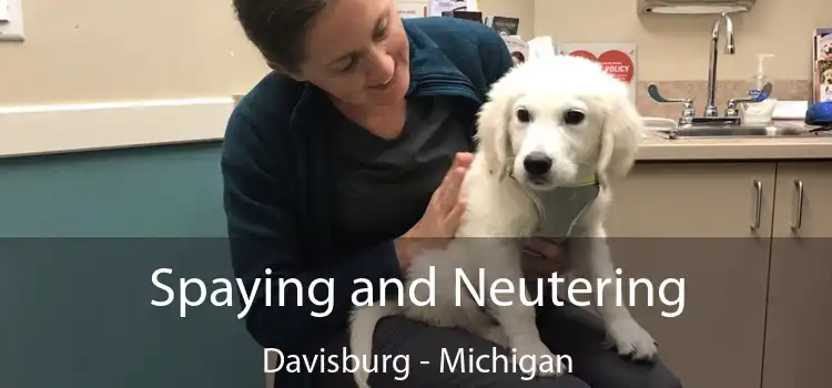 Spaying and Neutering Davisburg - Michigan