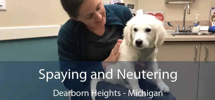 Spaying and Neutering Dearborn Heights - Michigan