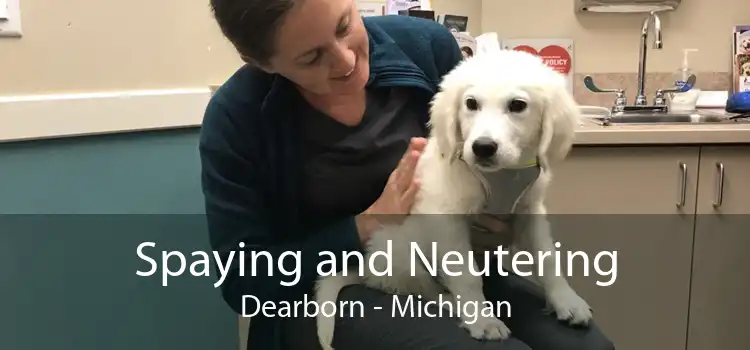 Spaying and Neutering Dearborn - Michigan
