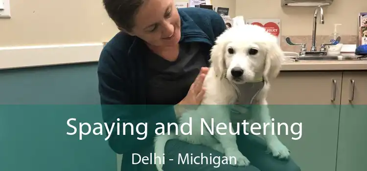 Spaying and Neutering Delhi - Michigan