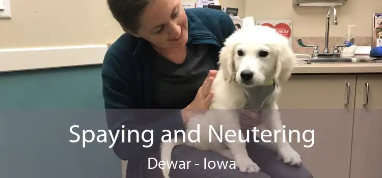 Spaying and Neutering Dewar - Iowa