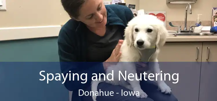 Spaying and Neutering Donahue - Iowa