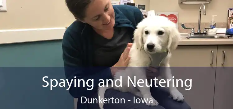 Spaying and Neutering Dunkerton - Iowa