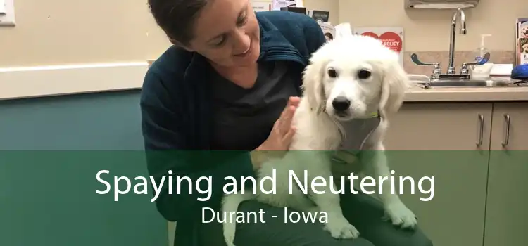 Spaying and Neutering Durant - Iowa