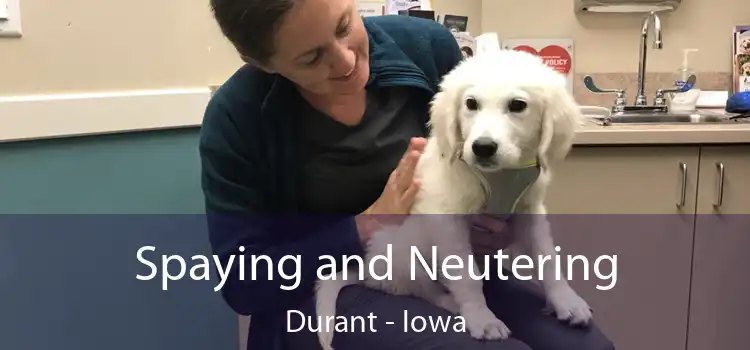 Spaying and Neutering Durant - Iowa