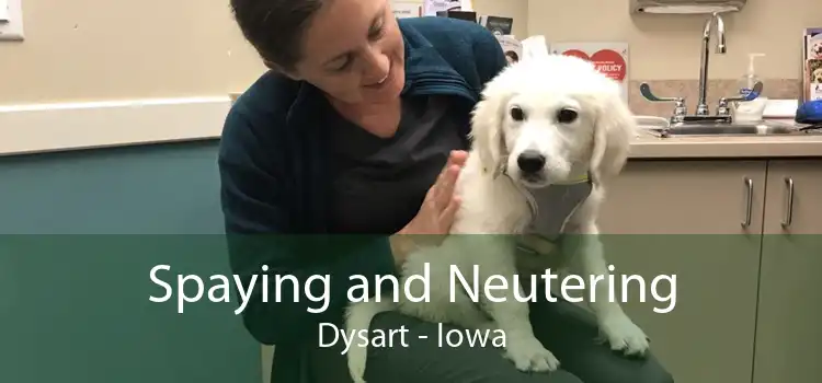 Spaying and Neutering Dysart - Iowa