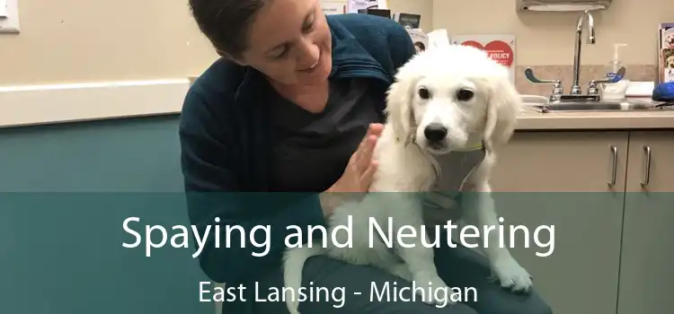 Spaying and Neutering East Lansing - Michigan