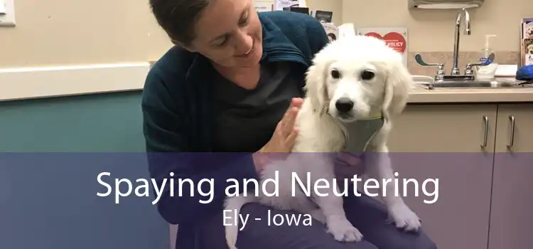 Spaying and Neutering Ely - Iowa