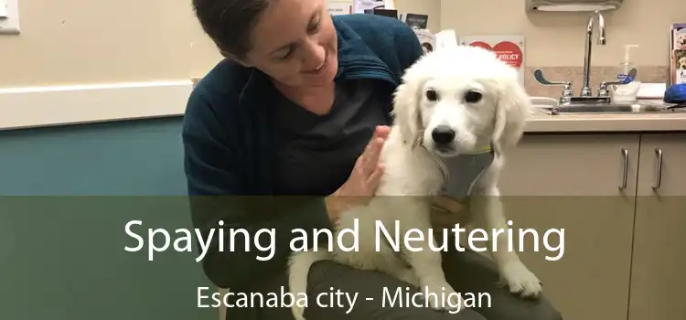 Spaying and Neutering Escanaba city - Michigan