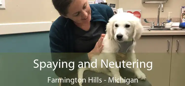 Spaying and Neutering Farmington Hills - Michigan