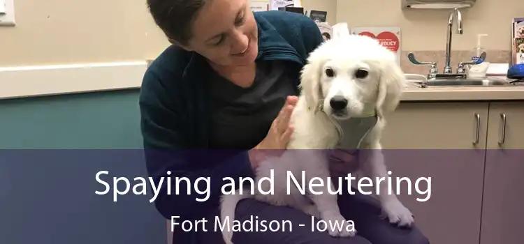 Spaying and Neutering Fort Madison - Iowa