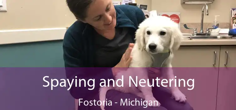 Spaying and Neutering Fostoria - Michigan