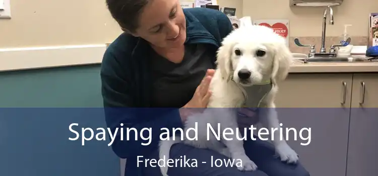 Spaying and Neutering Frederika - Iowa