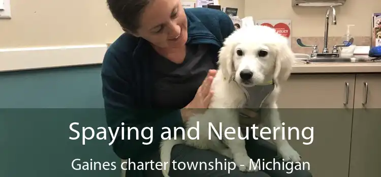 Spaying and Neutering Gaines charter township - Michigan