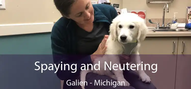 Spaying and Neutering Galien - Michigan