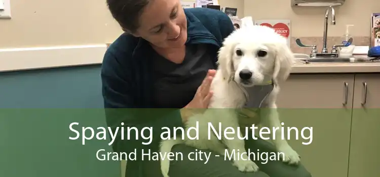 Spaying and Neutering Grand Haven city - Michigan