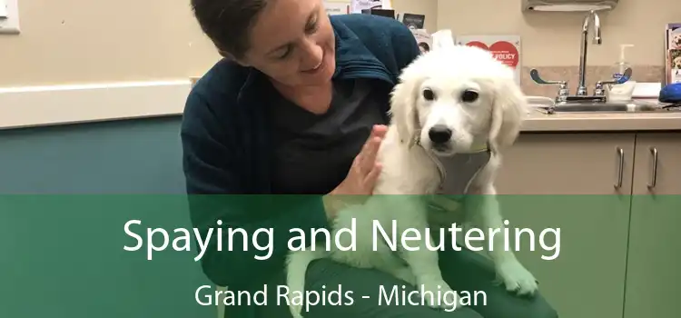 Spaying and Neutering Grand Rapids - Michigan