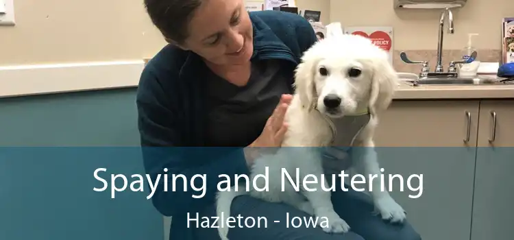 Spaying and Neutering Hazleton - Iowa