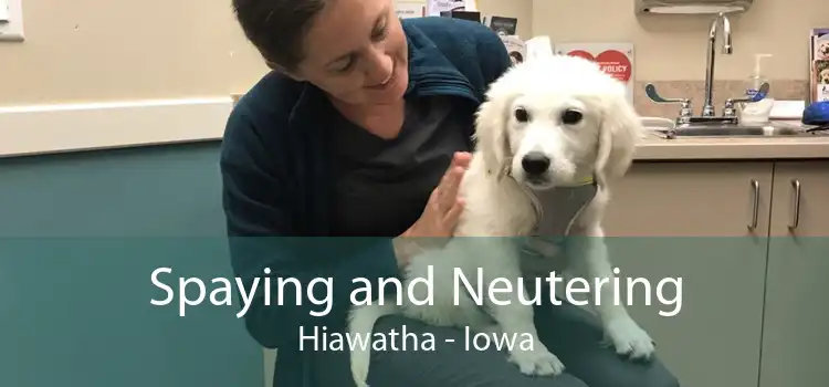 Spaying and Neutering Hiawatha - Iowa