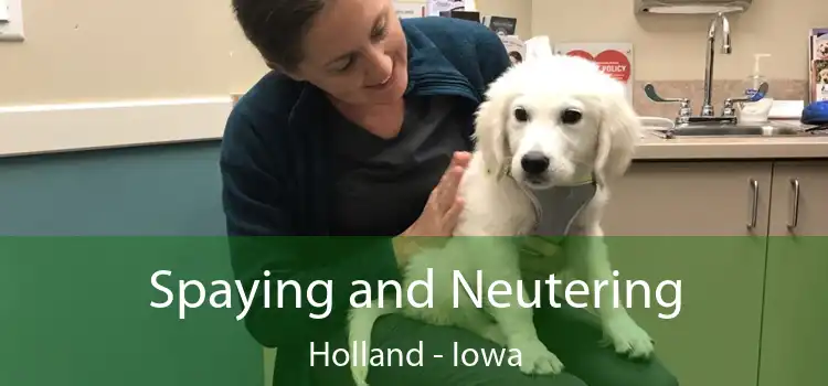 Spaying and Neutering Holland - Iowa