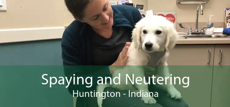 Spaying and Neutering Huntington - Indiana