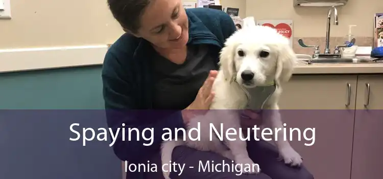 Spaying and Neutering Ionia city - Michigan