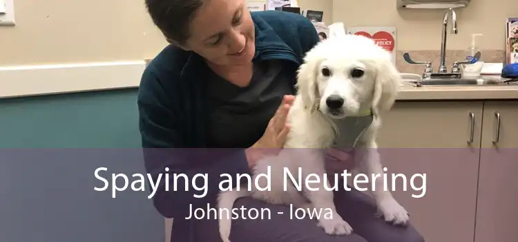 Spaying and Neutering Johnston - Iowa