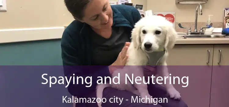 Spaying and Neutering Kalamazoo city - Michigan