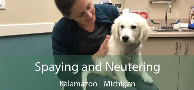 Spaying and Neutering Kalamazoo - Michigan