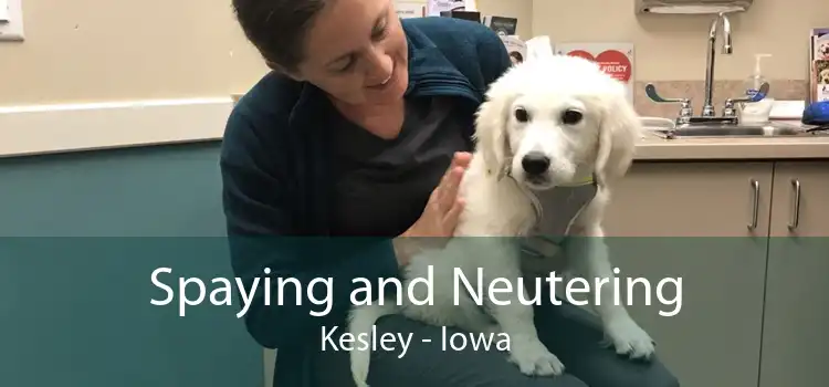 Spaying and Neutering Kesley - Iowa