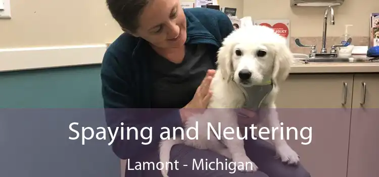 Spaying and Neutering Lamont - Michigan