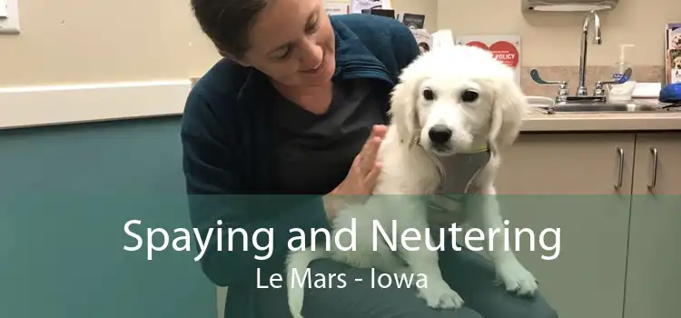Spaying and Neutering Le Mars - Iowa