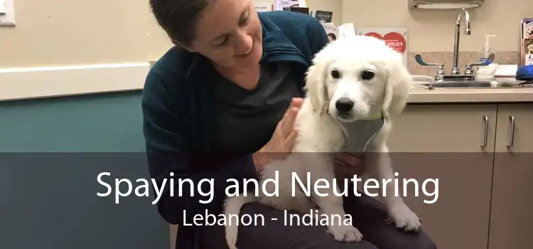 Spaying and Neutering Lebanon - Indiana
